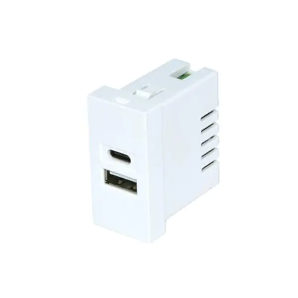 ツインポート TypeA+C USB 充電器ソケットモジュール